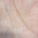 청산기프트 | 나를 위한 연말 선물 🎁 리에종 드 로렌 홀리데이 기프트 세트 언박싱 (클렌저/에센스/크림 3종 후기)