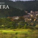 (주)센트라 이미지