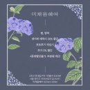 미채움