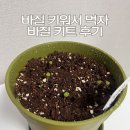 오도가든 | 바질 키우기 키트 후기 / 실내 바질 키우기 방법