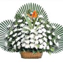 도고면로 이미지