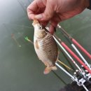 유포리낚시터 이미지