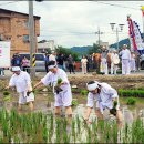 능주 들소리 이미지