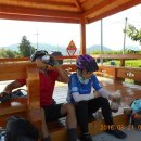 신호보건진료소 이미지