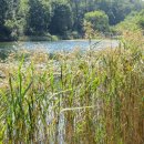 남양여인숙 이미지