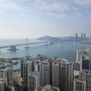 테넌바움294 이미지