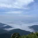 대구 비슬산 한바퀴 14K 코스 분석｜14km에 누적고도 1380m, 달리러 갔다가 등산하고 왔다
