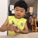 김밥데이 이미지