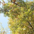 화진중학교 이미지