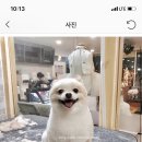 비비드봉 이미지