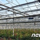 지열농장 이미지