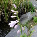 남대구초등학교 이미지