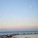 금학목장 | 겨울 강릉 뚜벅이 여행