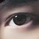 코오롱글로벌(주) 대구센터 | 최현우 아판타시아 후기 (대구 아양아트센터 1층 B구역 시야)