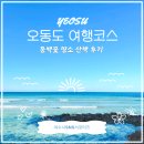 산책 | 여수 오동도 여행 코스, 동백꽃 명소 산책 후기