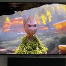 세종맑은약국 이미지