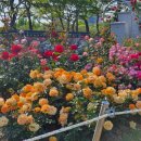 서석약국 이미지