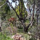 나의 정원 이미지