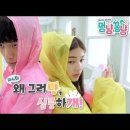 멍냥&꽁냥 이미지