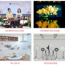 (주)미디어커머스 | 라이브커머스, 매출의 판을 바꾸다 – 진광고가 말하는 성공 비결