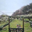 봄농장 | 남양주 안나농원 봄 체험 후기 | 6세 아이랑 가볼만한 체험농장 추천