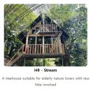 올스테이인 | 조호바루 한달살기ㅣ레인포레스트 트리 하우스 카페 rainforest tree house