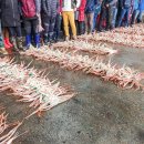 사계절맛집 이미지