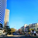 동양빌딩 | 2026 운전면허증갱신 벌금 남대문경찰서 동양사진관 서대문경찰서 민원실