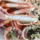 여시초대게물회 | 대포항대게 속초 여시초대게물회 후기 신선한 해산물의 맛