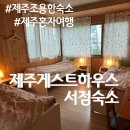 서점숙소 | 제주숙소 / 조용하고 아늑한 게스트하우스 서점숙소 내돈내산 연박후기