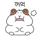 언니네해물손칼국수 이미지