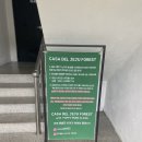 puppy lounge 이미지