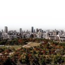 부가여관 | 2026년 일본 여행 경비 3박4일 오사카·도쿄 총정리 (항공·숙박·식비 실비용)