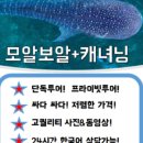 세부존투어자유여행