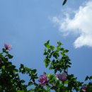 대구 극동방송 라디오프로 [당신을 위한 아침](이희진 PD) - 유리바다 이종인 인터뷰 이미지