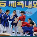 국가대표솔빛태권도장 이미지