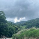 금대리 마을회관 | 가평 금개울 계곡: 청정 자연 속 여름 물놀이 명소 완벽 가이드