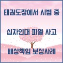 미드미 태권도 이미지