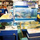 계절수산횟집 이미지