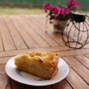 나무다락방 민박 이미지