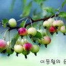 Till We Meet Again (우리 다시 만날때까지) - Bing Crosby (빙 크로스비) &amp; 앤드류스 시스터스 이미지