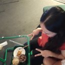 까불다가 망했습니다 이미지