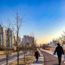 연기면 금강보행교북측(좌) 이미지