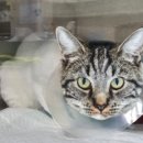 한양동물병원 이미지