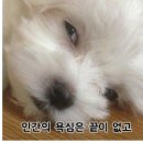 석관동두산위브아파트7 네이버블로그