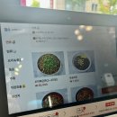 쌍청당로 | 대전맛집 꼬막짬뽕 조기종의향미각 본점 솔직후기