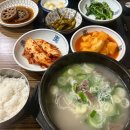 금호설렁탕 | [진해/용원] 용원 24시 설렁탕 맛집 ‘금호설렁탕’ 추천(내돈내산)