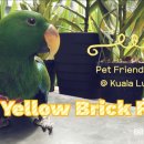 옐로우브릭로드(Yellow Brick Road) 네이버블로그