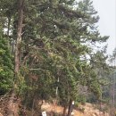 갈산목장 이미지