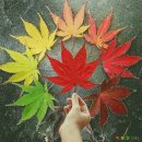 금 강  1 이미지